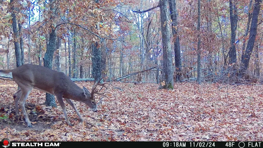 Stealth Cam Deceptor 2.0 Dual Pack